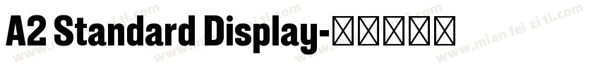 A2 Standard Display字体转换